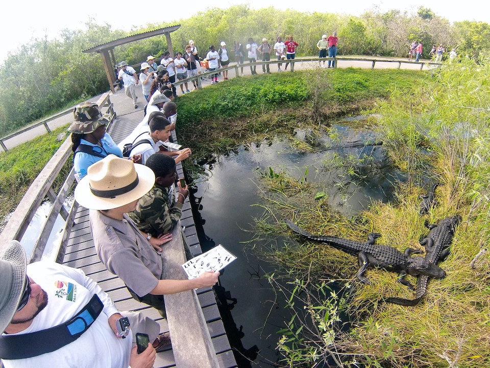 Explore Everglades National Park