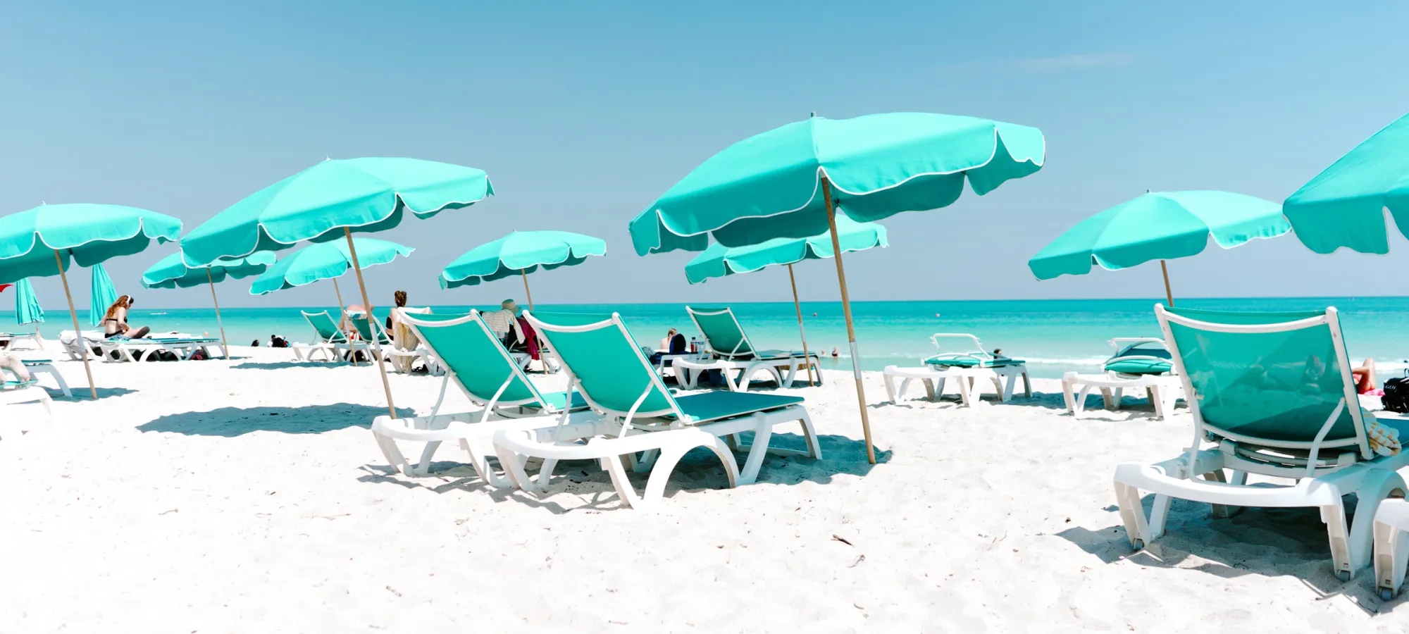 Beach umbrellas and lounge chairs set up along the beach